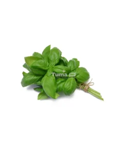 Basil-Basilic - 250g