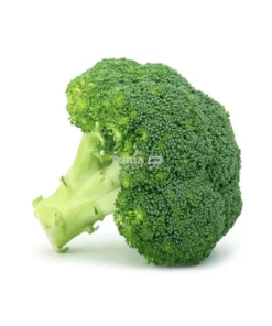 Green Broccoli/Piece