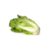 Chinese Cabbage (Chou Chinois piece)
