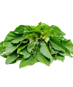 Green Amaranth -Dodo Bunch