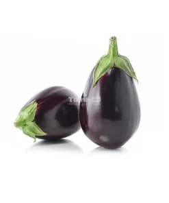 Black Eggplant -1pcs