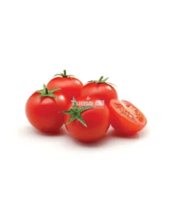 Fresh Tomatoes (Medium Size)/ Tomates/ Inyanya