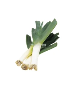 Onion Leeks Bunch - ( Bouquet de Poireaux)