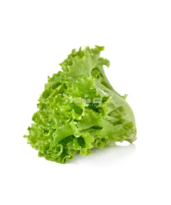 Green Lettuce/Bunch