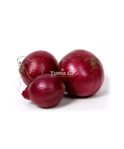 Fresh Red Onions/ Oignons Rouge