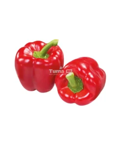 Red Bell Pepper/ Poivron Rouge