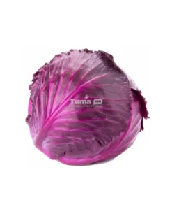 Red Cabbage/Chou Rouge