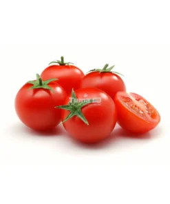 Fresh Tomatoes for Salad (Big Size) /Inyanya