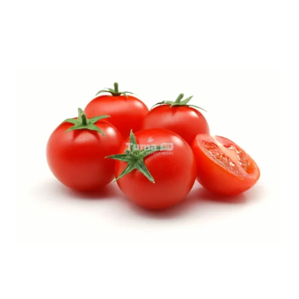 Fresh Tomatoes for Salad (Big Size) /Inyanya