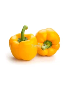 Yellow Bell Pepper/ Poivron Jaune