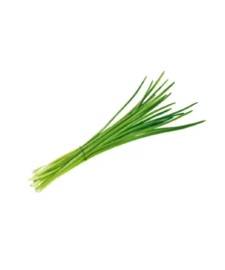 Chive-Ciboulette/Bunch