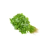 Coriander- Coriandre Bunch