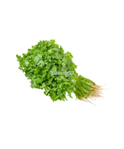 Coriander- Coriandre Bunch