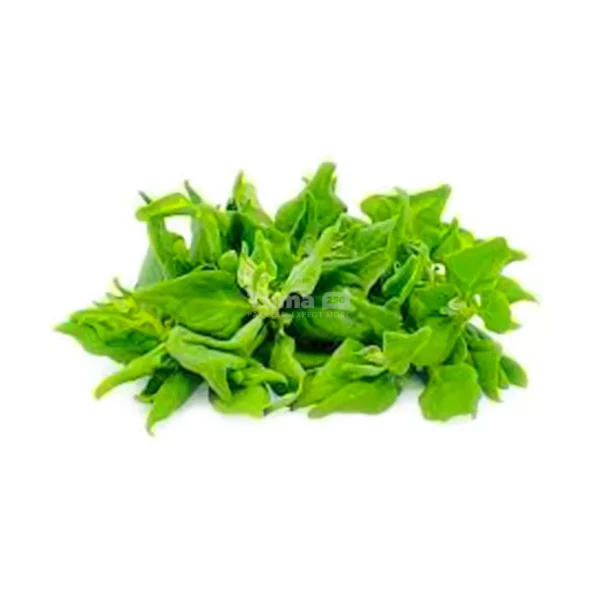 Spinach(Epinard) /Bunch