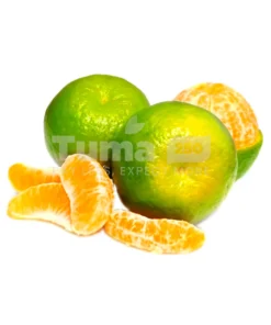 Local Mandarine Fruit