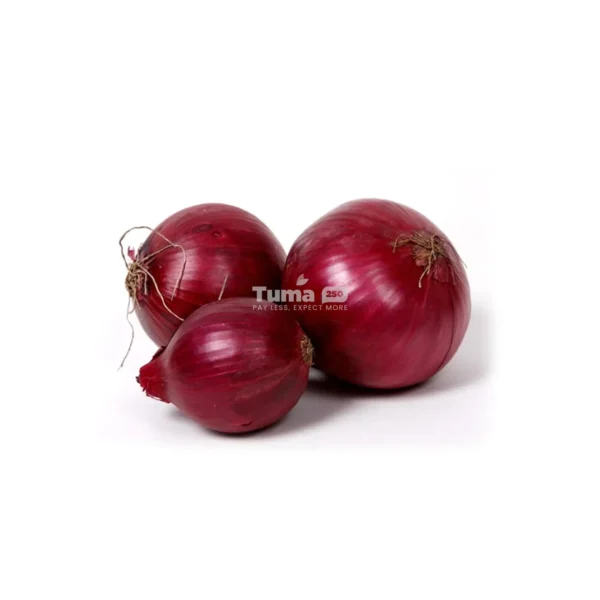 Fresh Red Onions/ Oignons Rouge