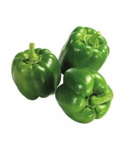 Fresh Green Bell Pepper