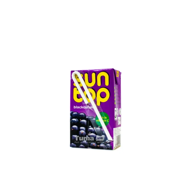 SunTop Blackcurrant Juice-250ml 