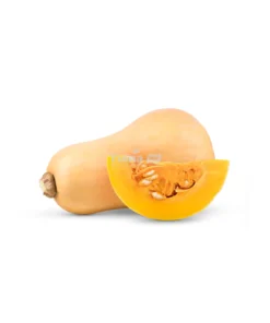 ButterNut Squash / Noyer Cendré