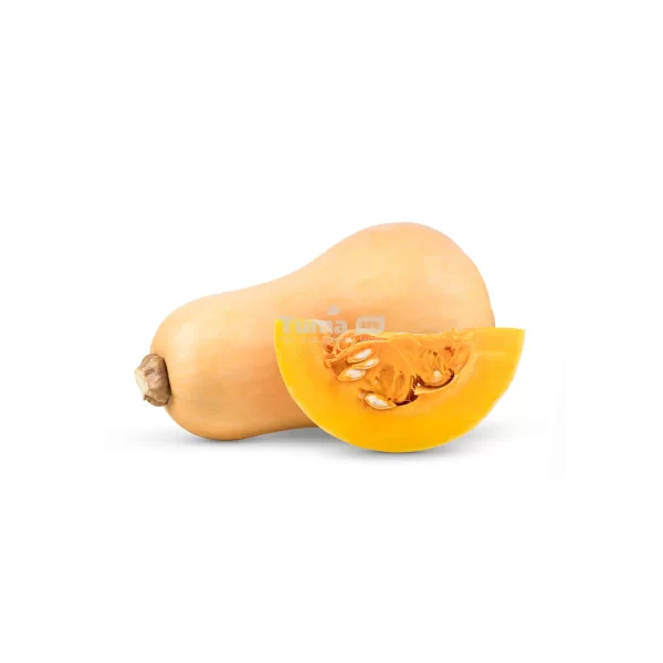 ButterNut Squash / Noyer Cendré