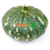 Green Pumpkin/ Igihaza