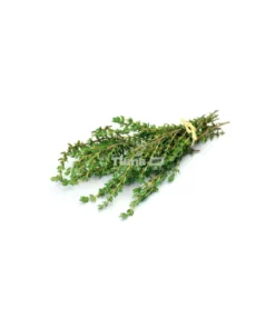 Thyme/Bunch