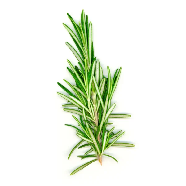 Fresh Rosemary/Bunch