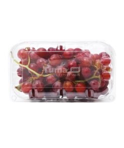 Fresh Grape Fruit