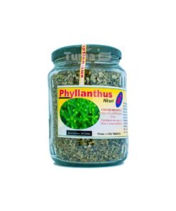 Phyllanthus Niruri In Glass Jar (Chanca Piedra) - 200g