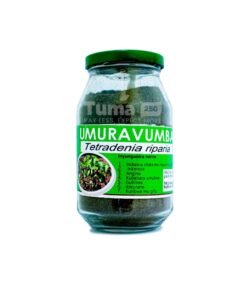 Tetradenia Riparia Powder In Glass Jar (umuravumba)
