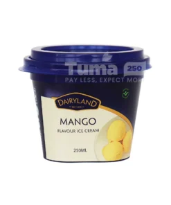 Dairyland Flavour Ice Cream-250ml