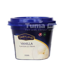 Dairyland Flavour Ice Cream-250ml - Image 2