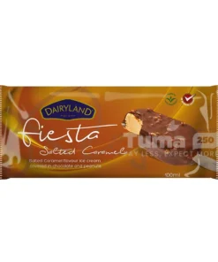 Dairyland Fiesta Salted Caramel Ice Cream 100ml