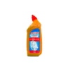 Destiny Toilet Cleaner 750ml