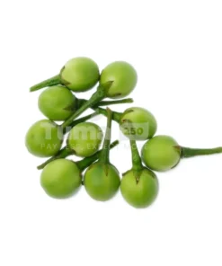Turkey Berry/Intagarasoroyo