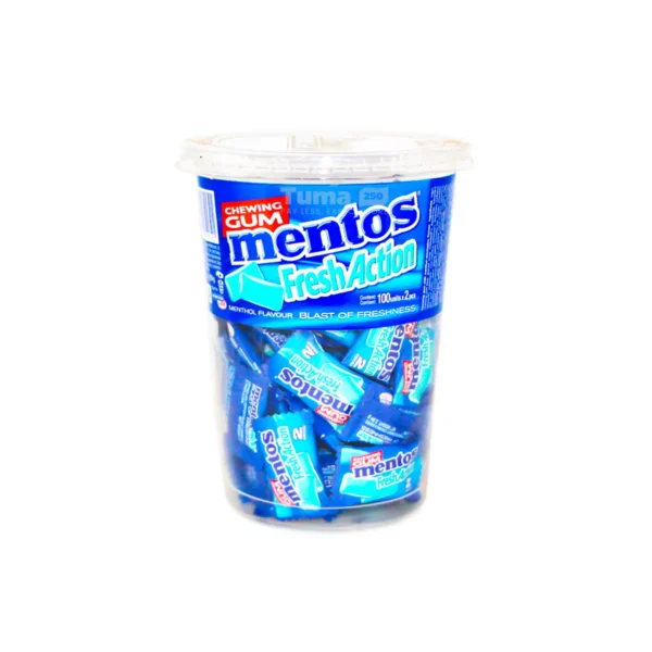 Mentos Fresh Action Chewing Gum -240g(100pcs)