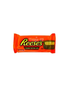 Reese's Milk Chocolate Peanut Butter Cups Candy 42g