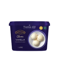 Dairyland Classic Vanilla Ice Cream 1L