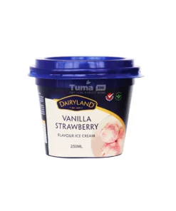 Dairyland Flavour Ice Cream-250ml - Image 3