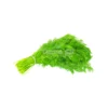 Dill Leaves (Aneth)/bunch