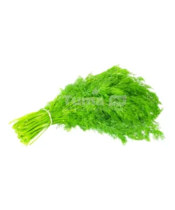 Dill Leaves (Aneth)/bunch