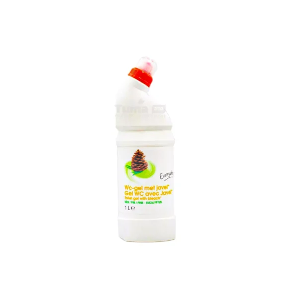 Everyday Pine Toilet Gel With Bleach 1L