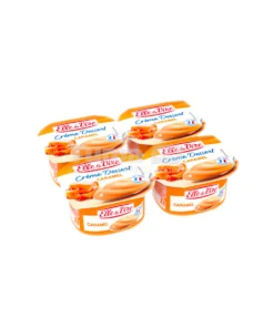 Elle & Vire Creme Desserts Caramel 100g