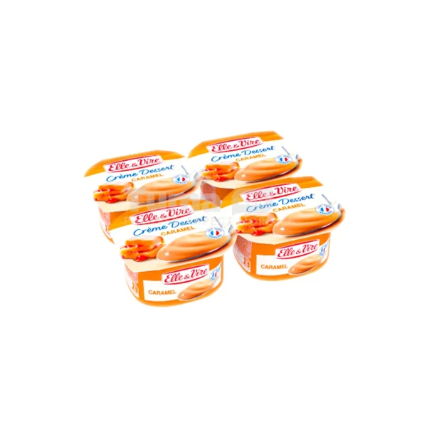 Elle & Vire Creme Desserts Caramel 100g