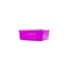 Rainbow Food Container