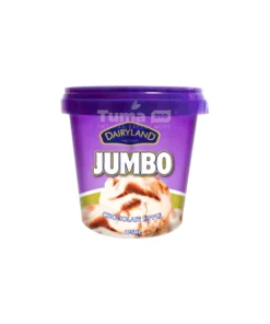 Dairyland Jumbo Chocolate Ripple Ice Cream 175ml