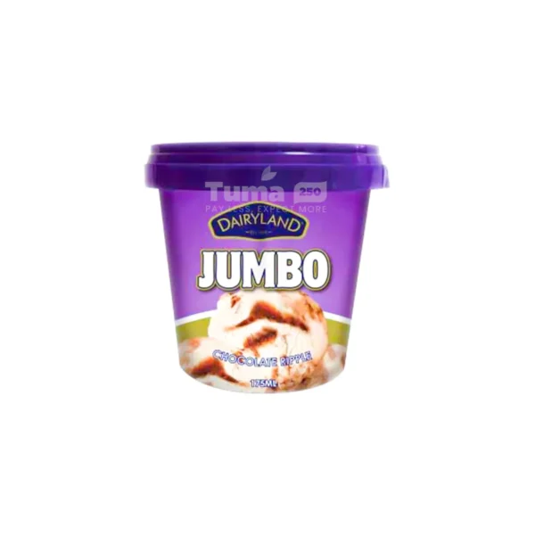 Dairyland Jumbo Chocolate Ripple Ice Cream 175ml