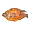 Oven-Roasted Big Tilapia Fish