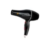 Sayona Electric Hair Dryer (SY-1100 GOLD)