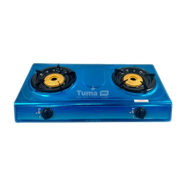 Sayona 2-Burner Stainless Steel Gas Stove (SB-4500B)